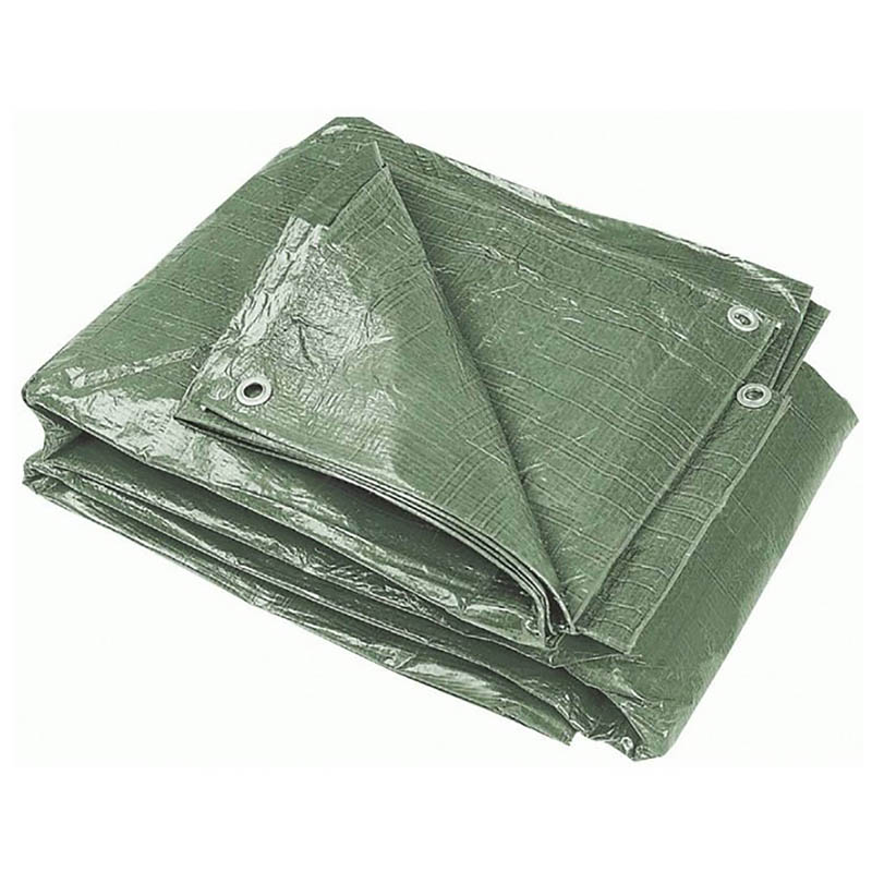 BORMAN BTR2020 Μουσαμάς  60gr 3x5m