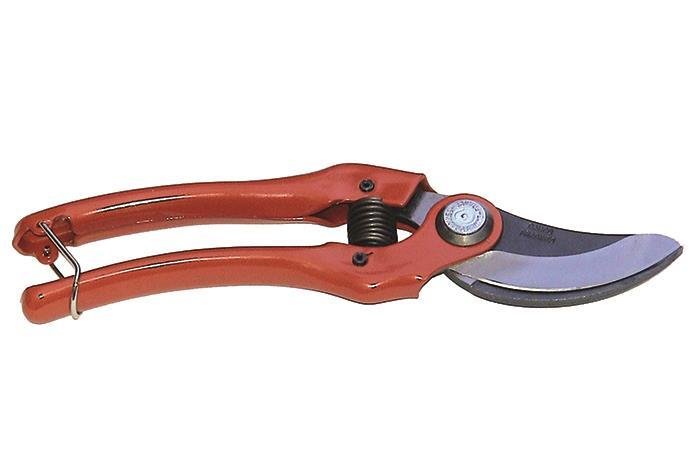 ΨAΛIΔI KΛAΔOY EΛAΦPIOY TYΠOY 121/23